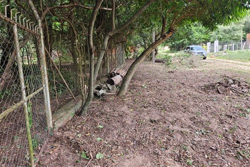 VENDO TERRENO EN SAN BERNARDINO — foto 3
