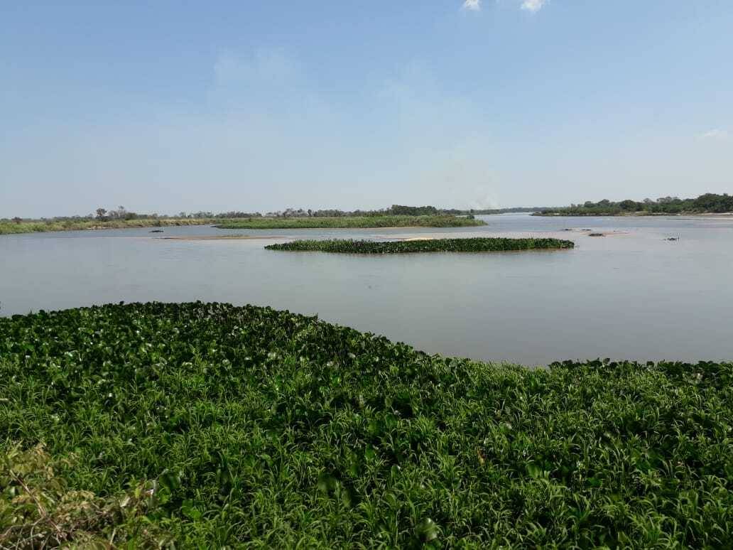 Campo Agricola, Ganadero Y Forestal En Venta | 4.091 Hectáreas | San Pedro, Py — foto 2