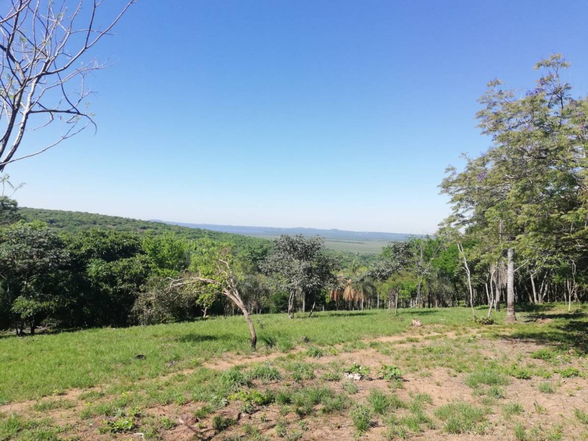 VENDO TERRENO CON HERMOSA VISTA EN SAN BERNARDINO CAMINO A NUEVA COLOMBIA — foto 2