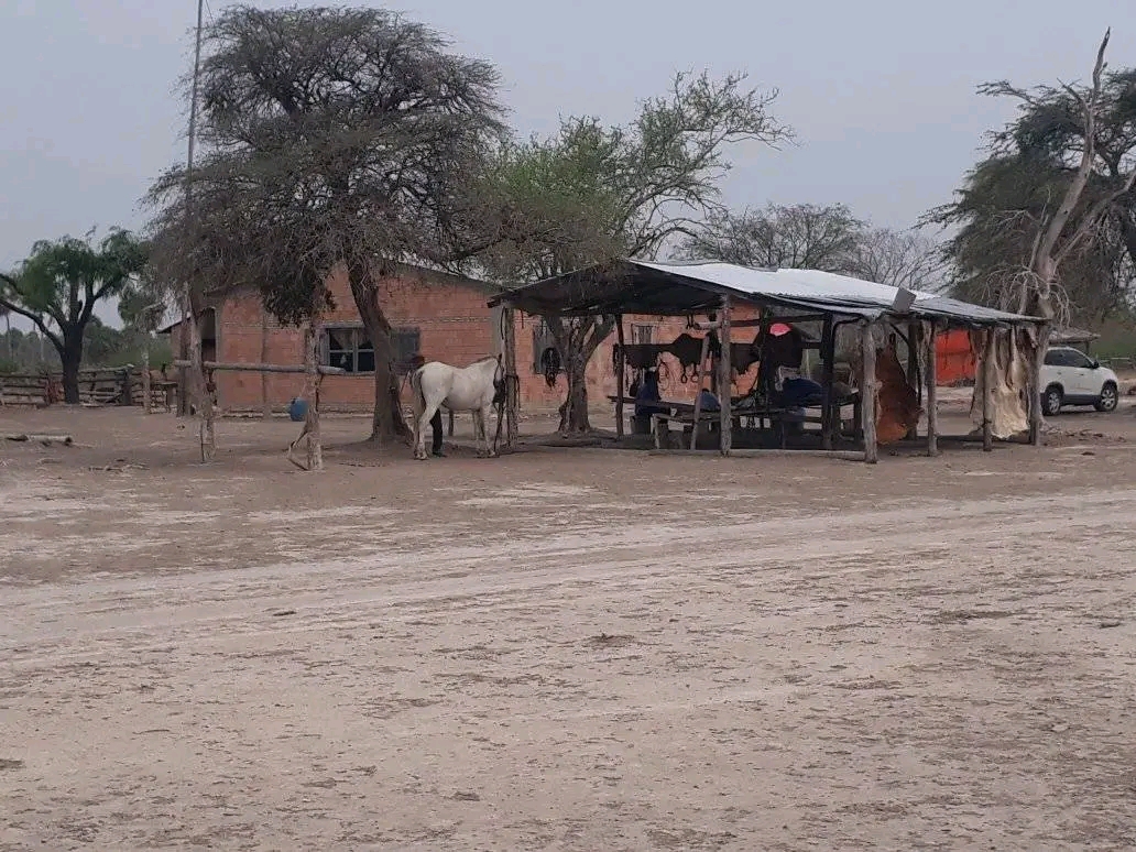 ???????????? VENDO ESTANCIA EN ALTO PARAGUAY-FORTIN FLORIDA, 1500 HAS???????????? — foto 2