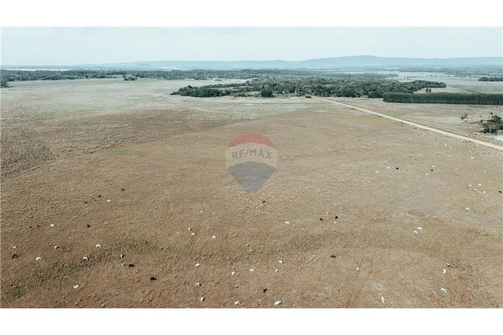 CAMPO PRODUCTIVO DE 391 HECTÁREAS EN YBYTYMÍ – PARAGUARÍ — foto 3