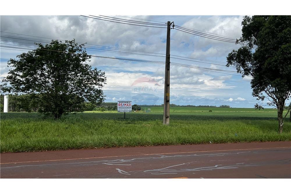 VENDO 6 HECTAREAS EN HERNANDARIAS ZONA INDUSTRIAL — foto 3