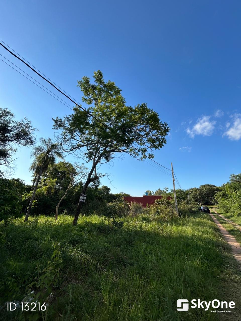 Terreno en venta en San Bernardino — foto 3