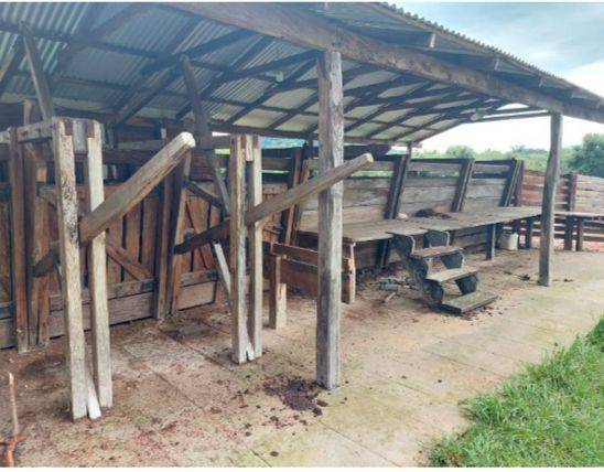 En venta ESTANCIA GANADERA ubicada en el Distrito de Caapucu — foto 2