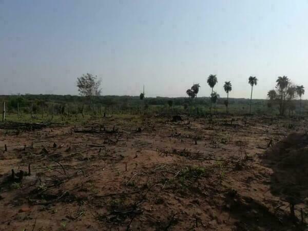 VENDO TERRENO EN SAN ESTANISLAO! — foto 3