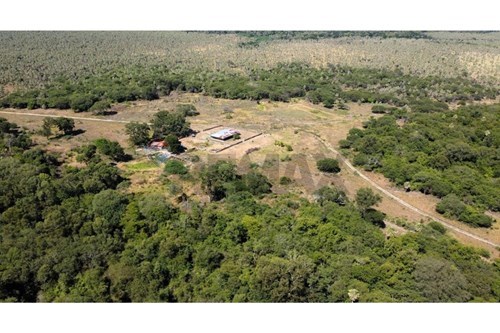 Estancia en venta Benjamín Aceval Chaco — foto 3