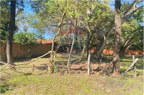 TERRENO EN VENTA, SAN LORENZO — foto 3