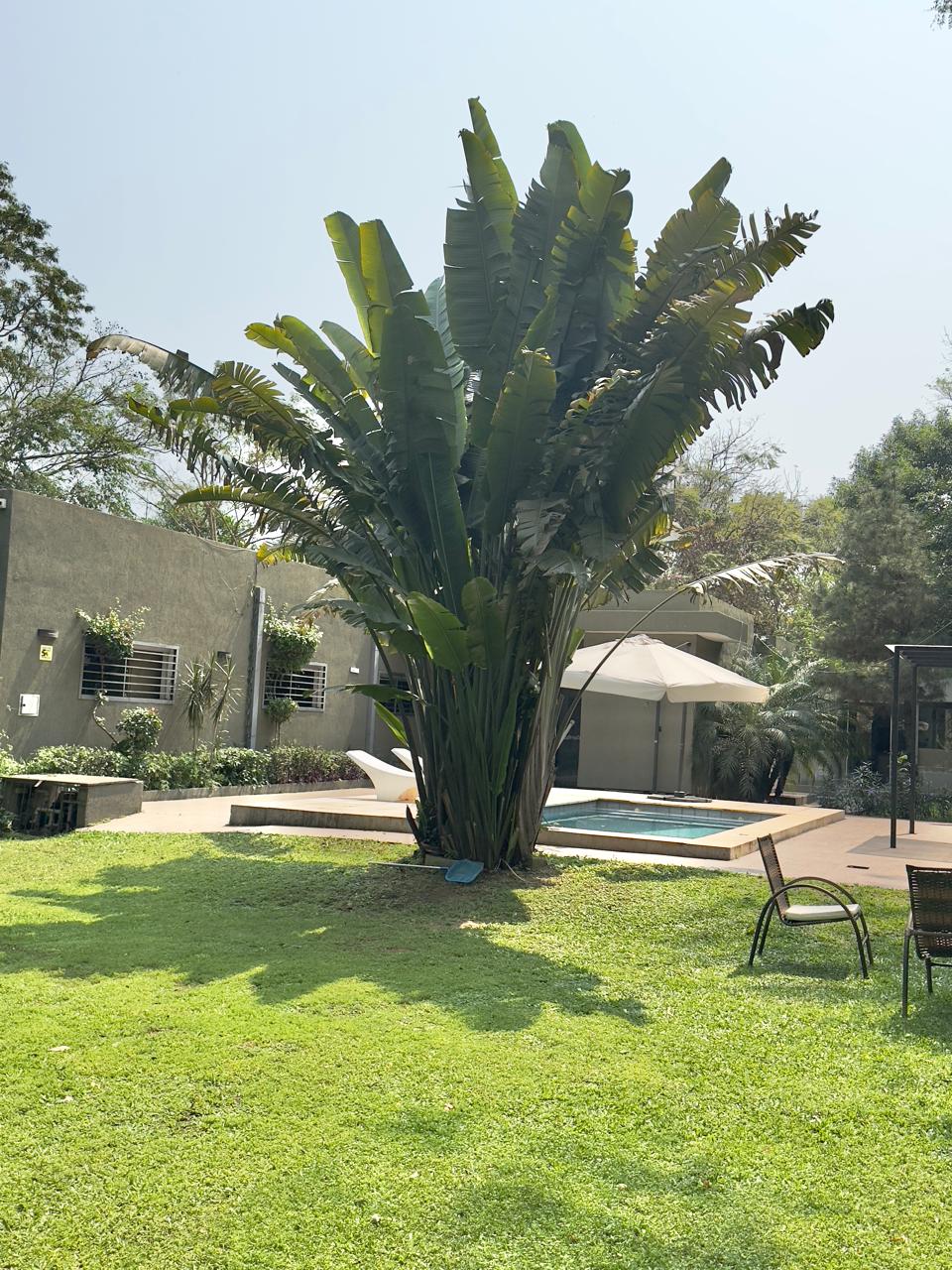 EN VENTA RESIDENCIA EN SAN BERNARDINO — foto 3