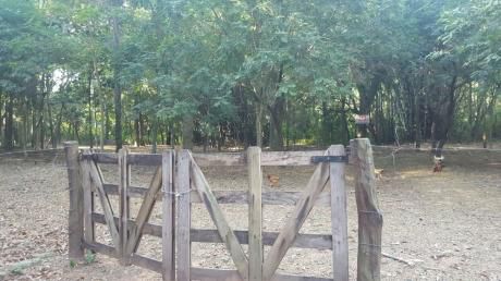 Terreno En San Bernardino