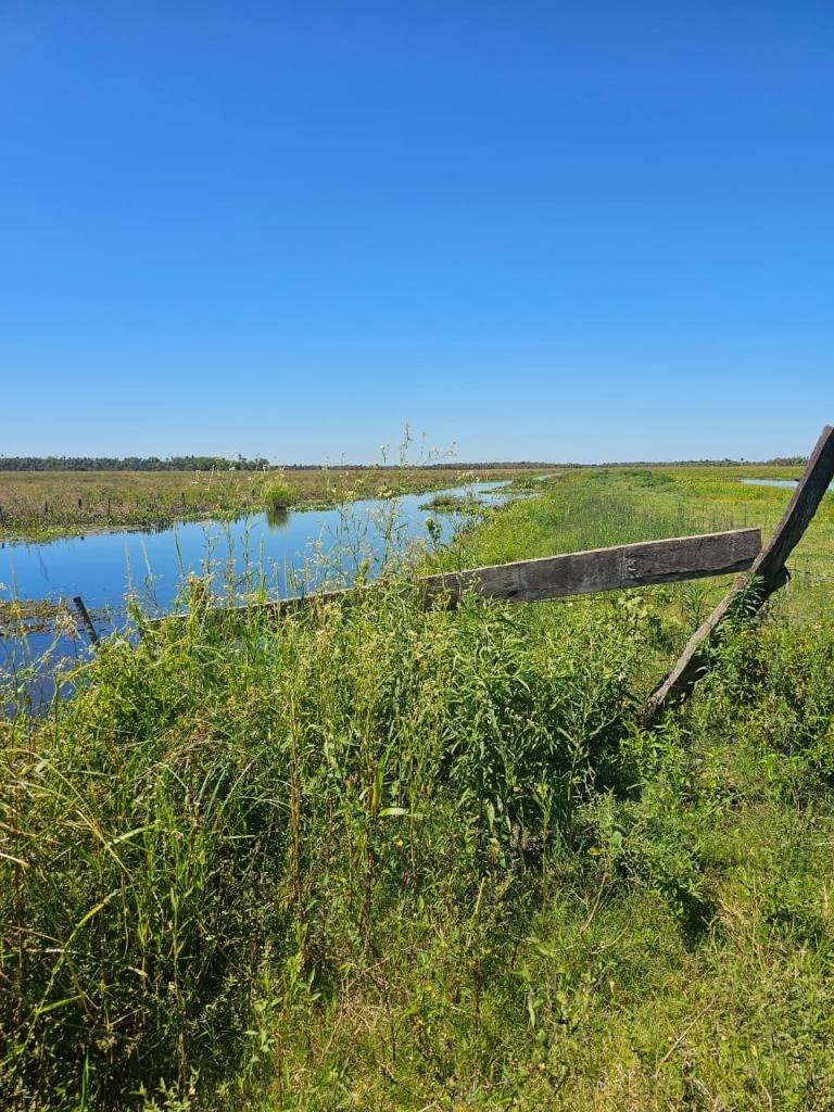 VENDO 3MIL HECTÁREAS EN PILAR — foto 3