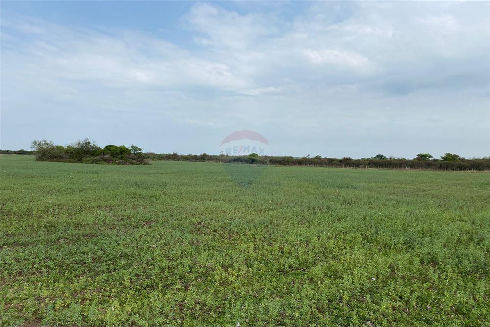 Venta- Terreno- Villeta Lomas Valentinas — foto 2