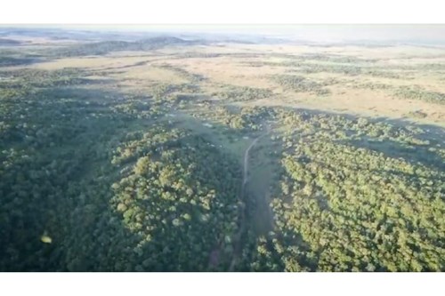 Vendo Propiedad de 74 Hectáreas con Arroyo en Caapucu — foto 2