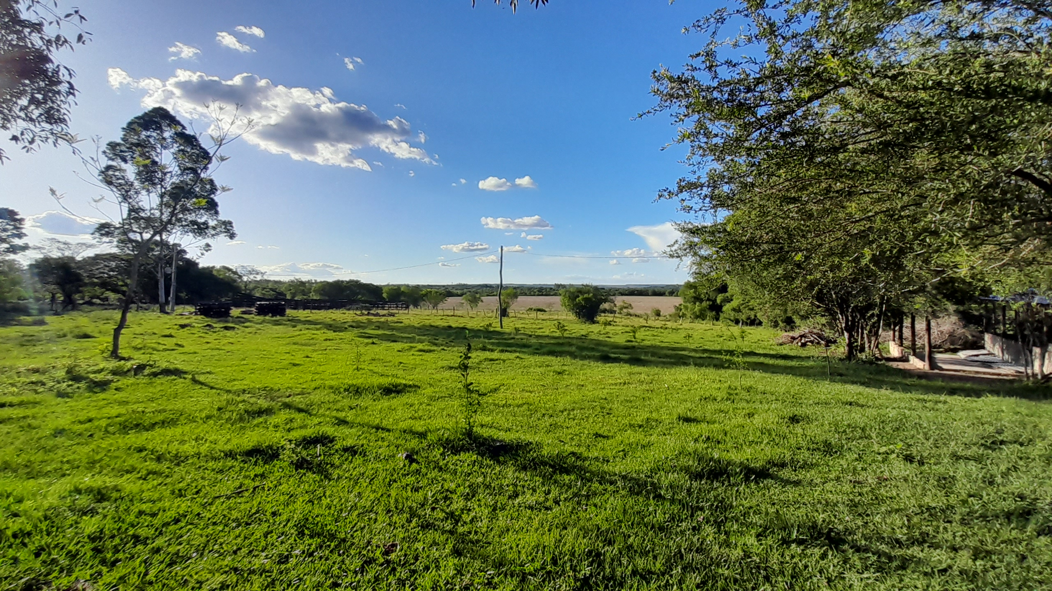 OFERTA - Granja Formada  75 Ha Gs. 35mill X Ha. Caaguazu Ri3 Corrales A 1km Del Asfalto — foto 2