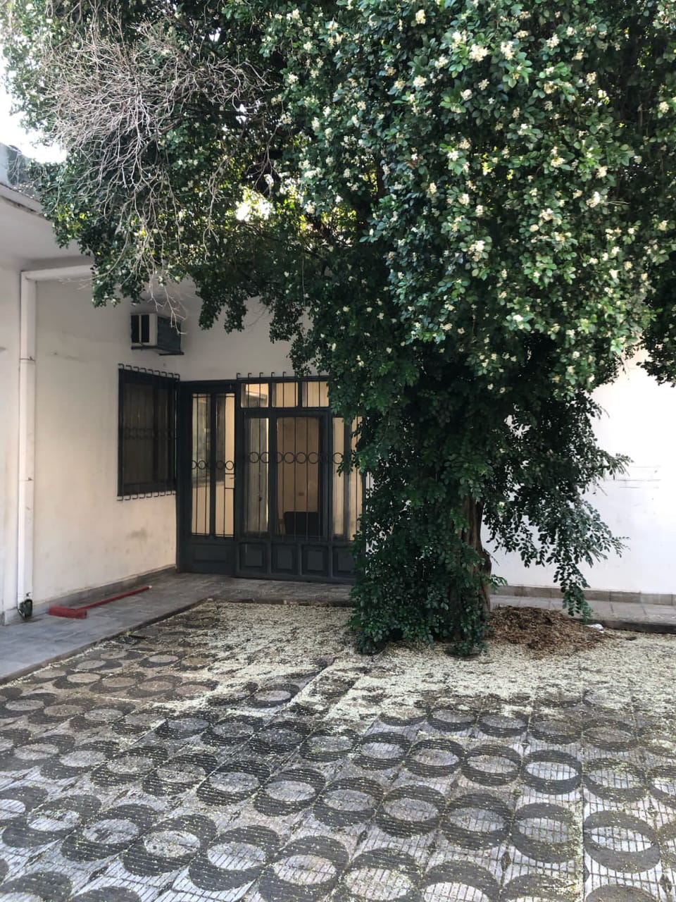 Casa en alquiler en Centro