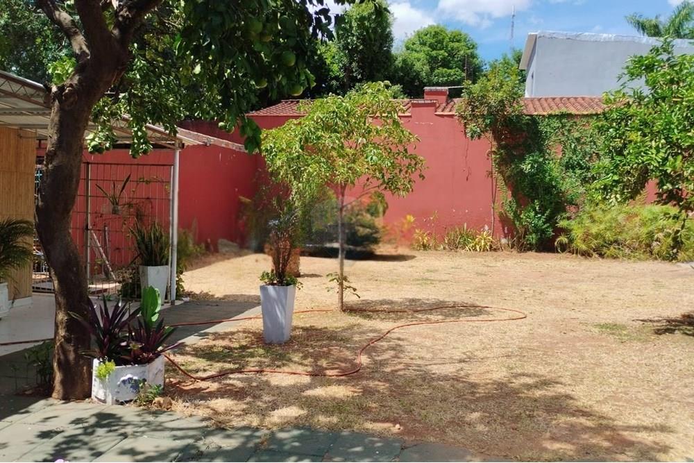 ALQUILER DE TINGLADO/DEPÓSITO Y DOS TERRENOS — foto 3