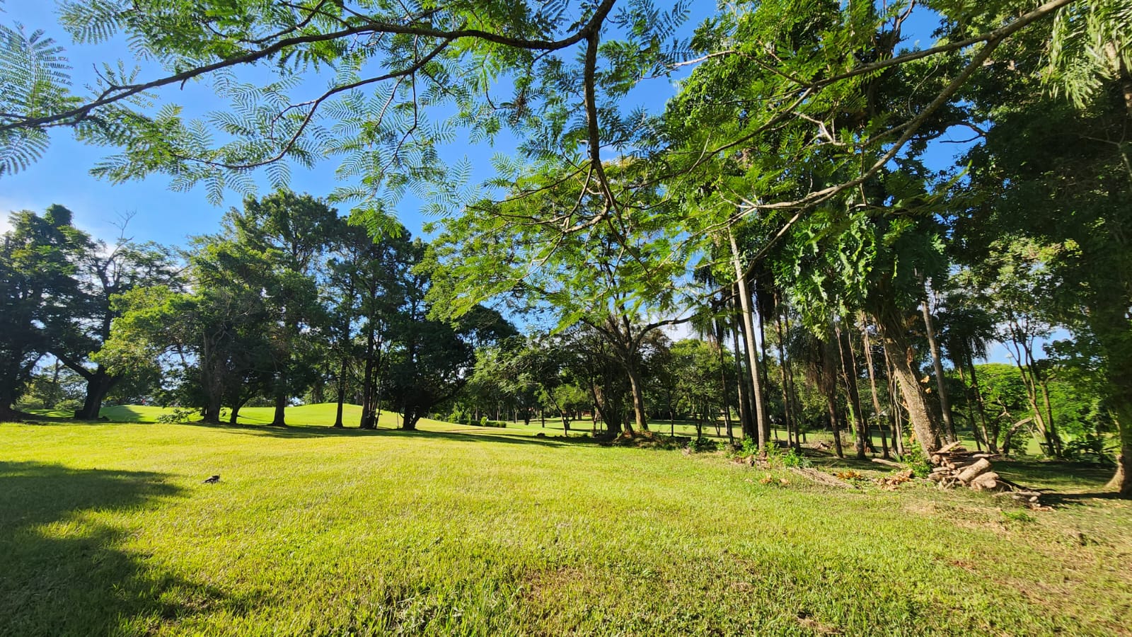 TERRENO EN VENTA — foto 2