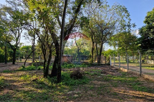 Terreno-Venta-PY Cordillera San Bernardino MCAL. ESTIGARRIBIA AVDA CIERVO CUA — foto 3
