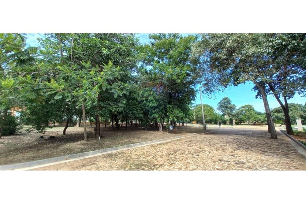 VENDO TERRENO EN SAN BERNARDINO — foto 2