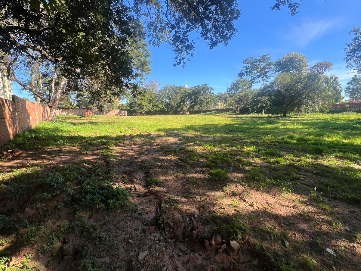 ALQUILO TERRENO 6814M² SOBRE PRIMER PRESIDENTE, MBURUCUYÁ — foto 2