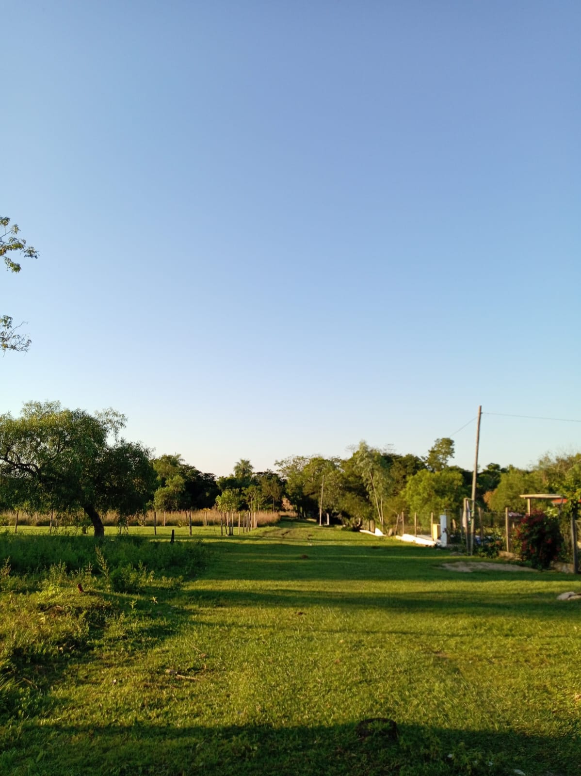Vendo terreno en Nueva Colombia - Boquerón — foto 3