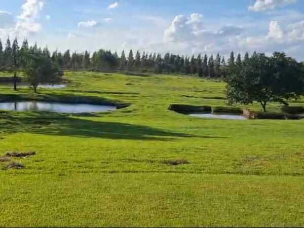 VENDO 14 HAS EN HERNANDARIAS CON CASA Y PISCINA — foto 2