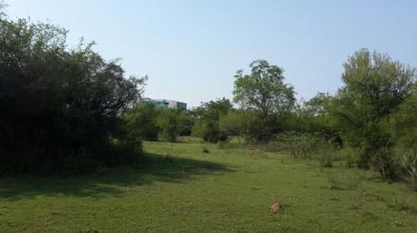 Vendo Propiedad De 3 Ha En San Antonio, Sobre Avda San Antonio