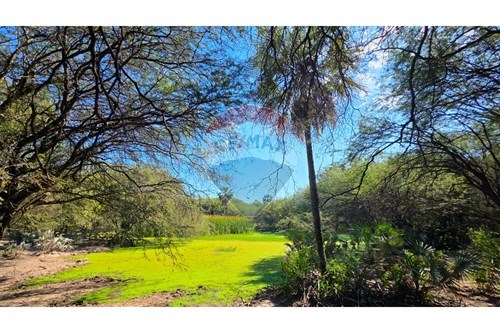 Estancia/Campo-Venta-PY Presidente Hayes Benjamín Aceval — foto 3