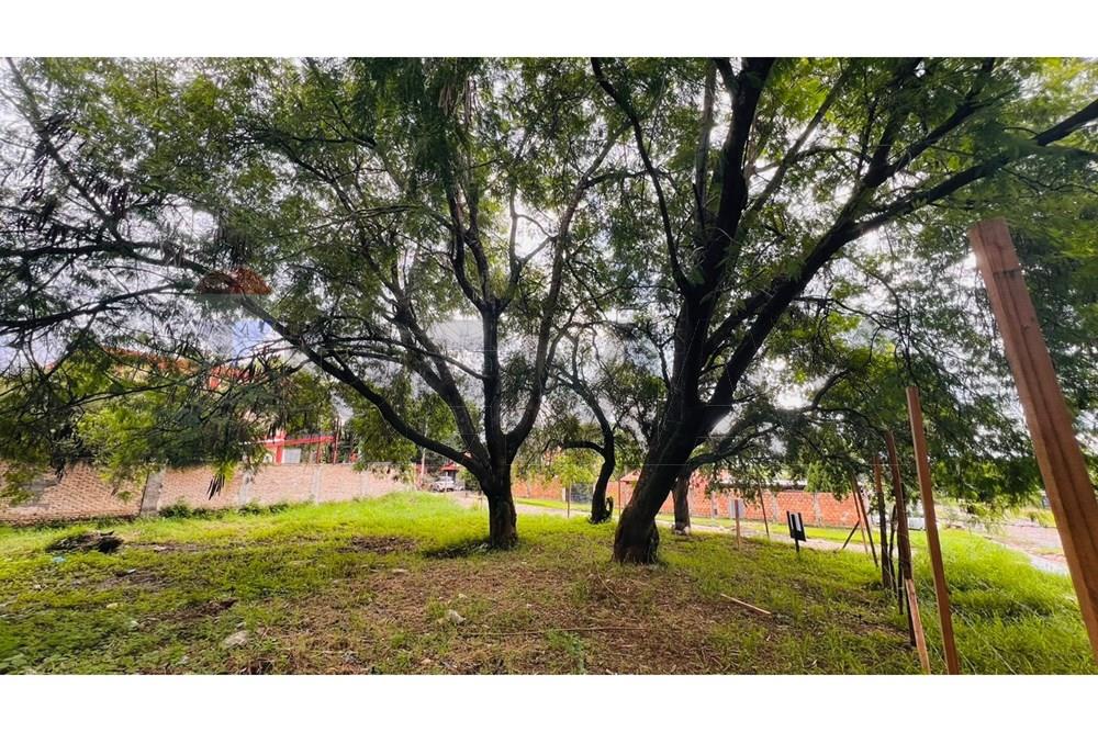 HERMOSO Terreno en Loma Pyta, Asunción — foto 2