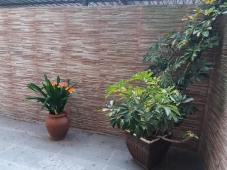 Excelente Apartamento En Malvin!