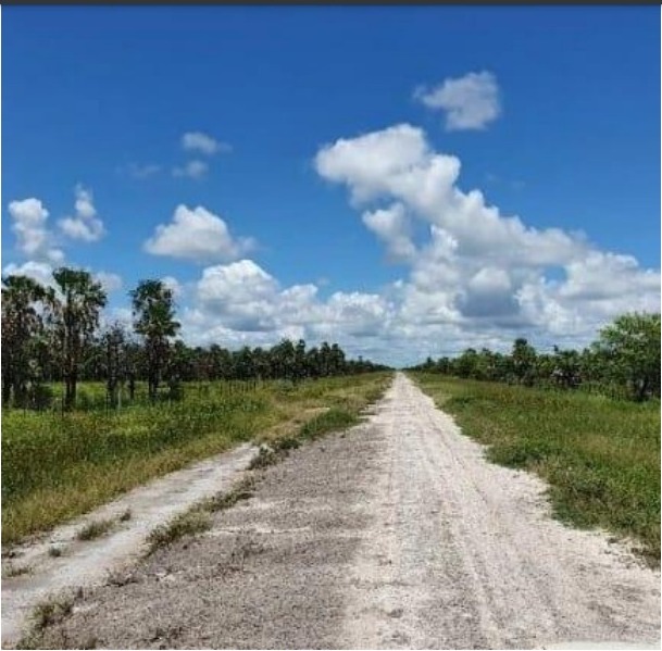 Vendo Estancia de 18.718 Hectáreas en Toro Pampa, Alto Paraguay - CLCS6249703 — foto 2