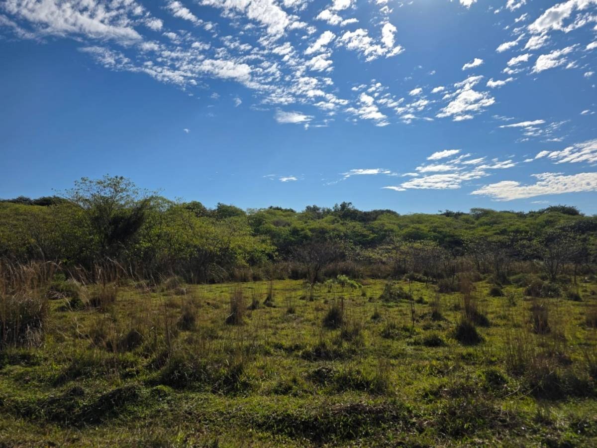 EN VENTA TERRENO: 117 lotes  – ITACURUBÍ DE LA CORDILLERA – 42.323 M² — foto 3