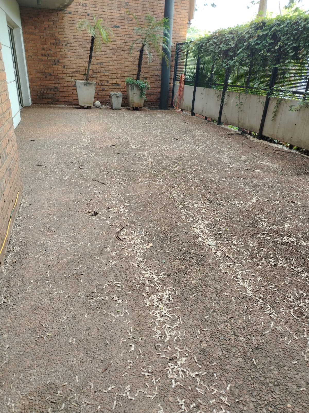 Departamento en alquiler en Bella Vista, Asunción — foto 3