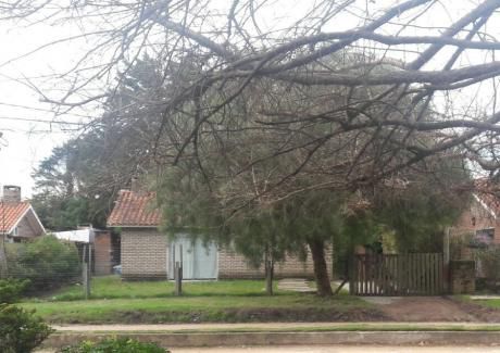 Casa 2 Dormitorios, Jardin, Luminosa, Cercada, En Barrio Parque Pinares II