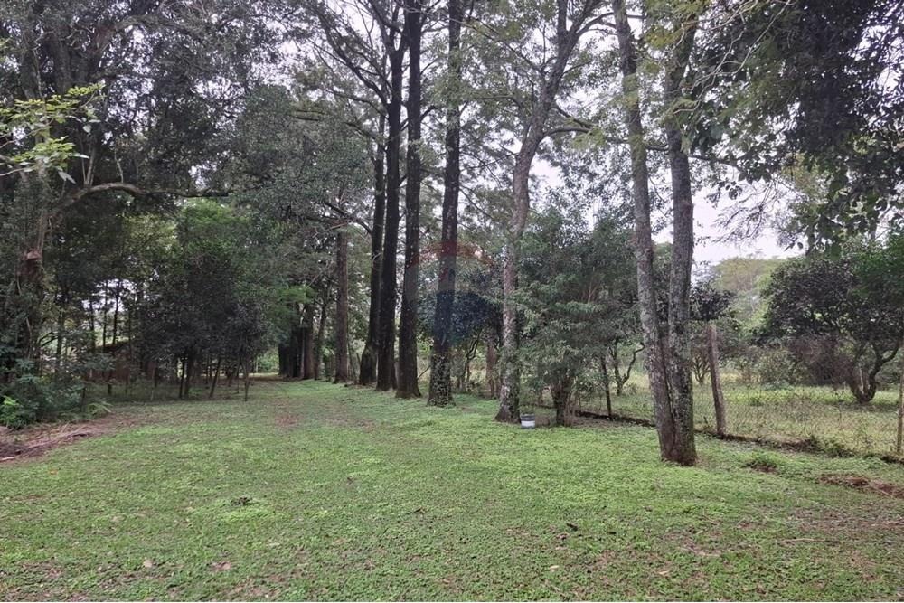 VENDO 39 HECTAREAS EN PARAGUARI ZONA CHOLOLO — foto 3