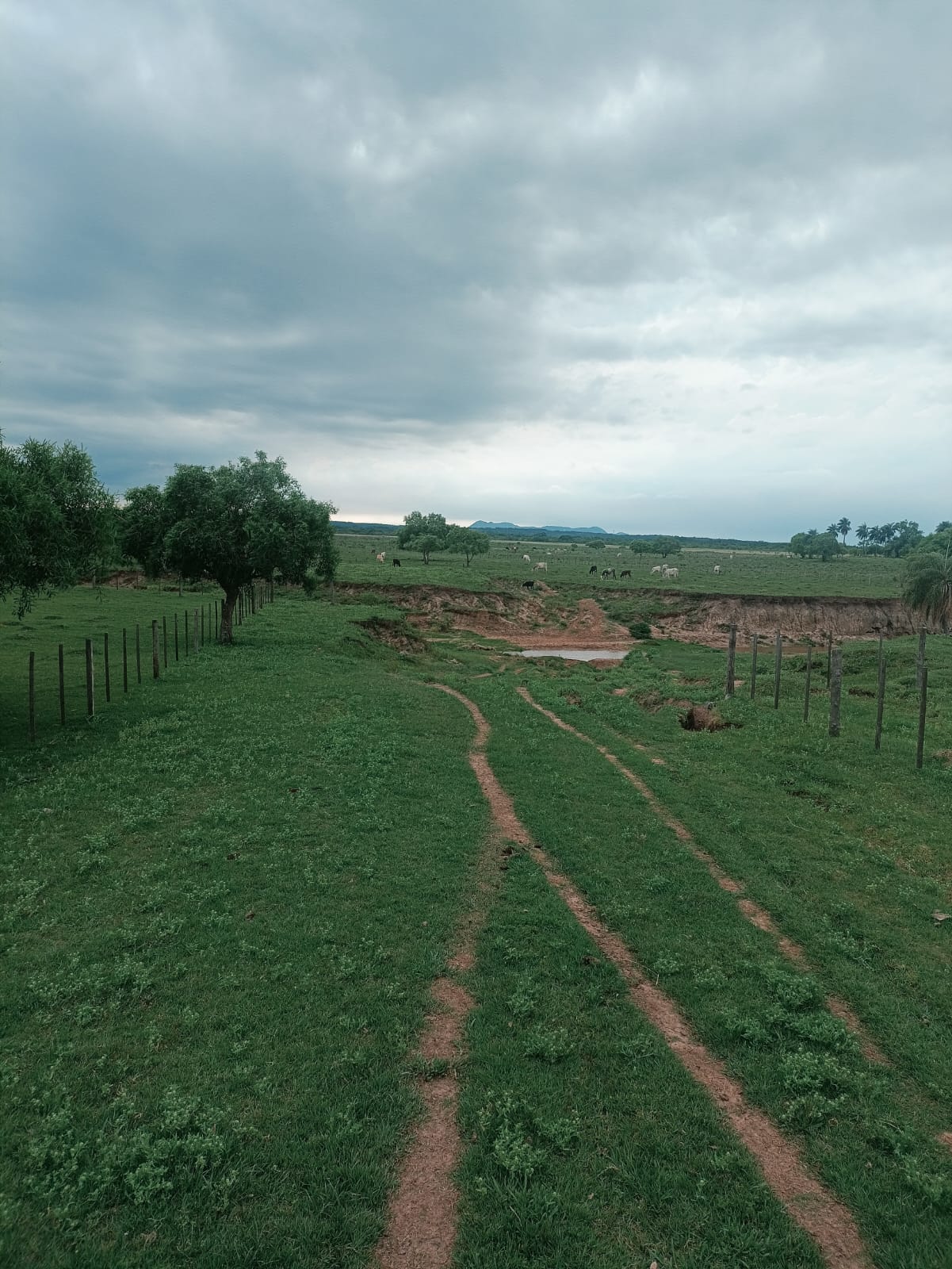 26 Hectáreas de Terreno en venta en Ybycui — foto 2