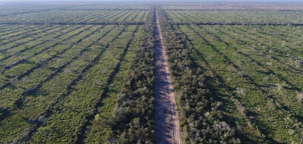 Estancia de 12.000 hectáreas en Agua Dulce. Departamento de Alto Paraguay. Chaco — foto 2