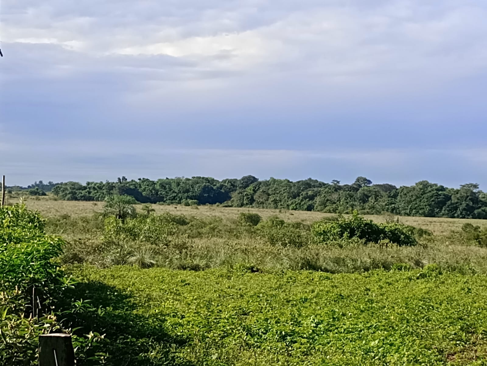 Campo en venta en 25 de Diciembre — foto 3