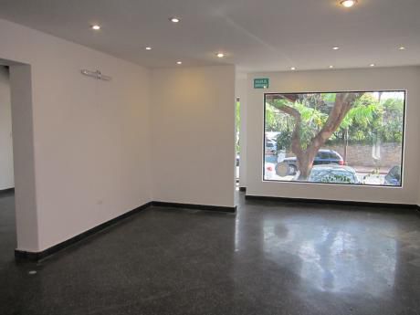 Alquilo Oficina O Local Comercial De 275 M2 En Barrio Herrera