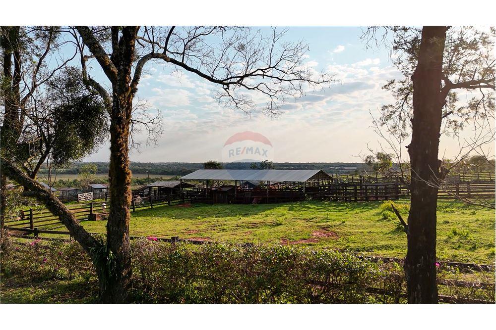 Estancia/campo - Venta - Nueva Germania, Paraguay — foto 2