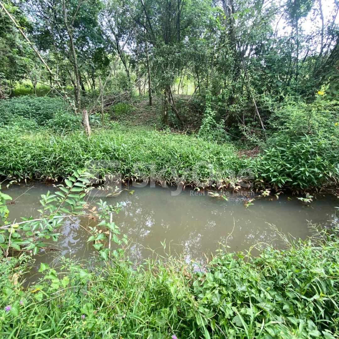 En Venta Campo de 5 Hectáreas ZONA CDE — foto 2