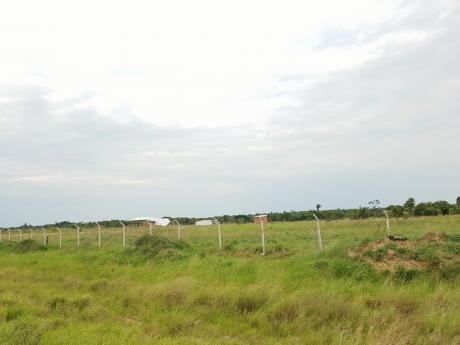 Terreno Sobre Avenida Paragua