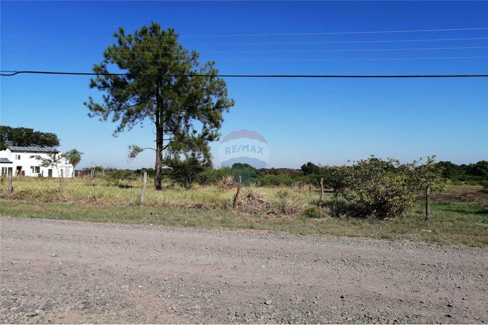 Terreno de 1.732 m2 en Surubi'i con Salida al Canal sobre Avenida Principal — foto 2