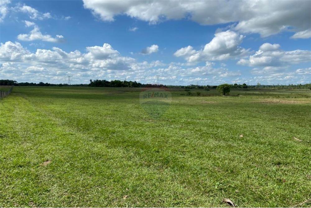 VENDO 124 HECTAREAS EN TOBATI — foto 3