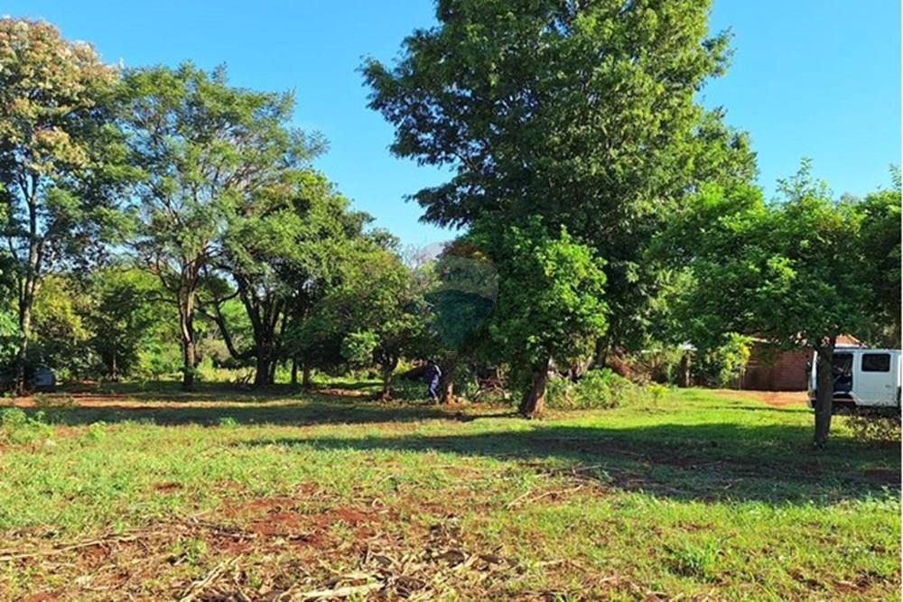 Terreno Vendo 1958 M2 en Tomás Romero Pereira — foto 3