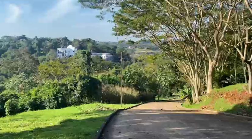 Se Venden Dos Hermosos Terrenos Juntos — foto 2