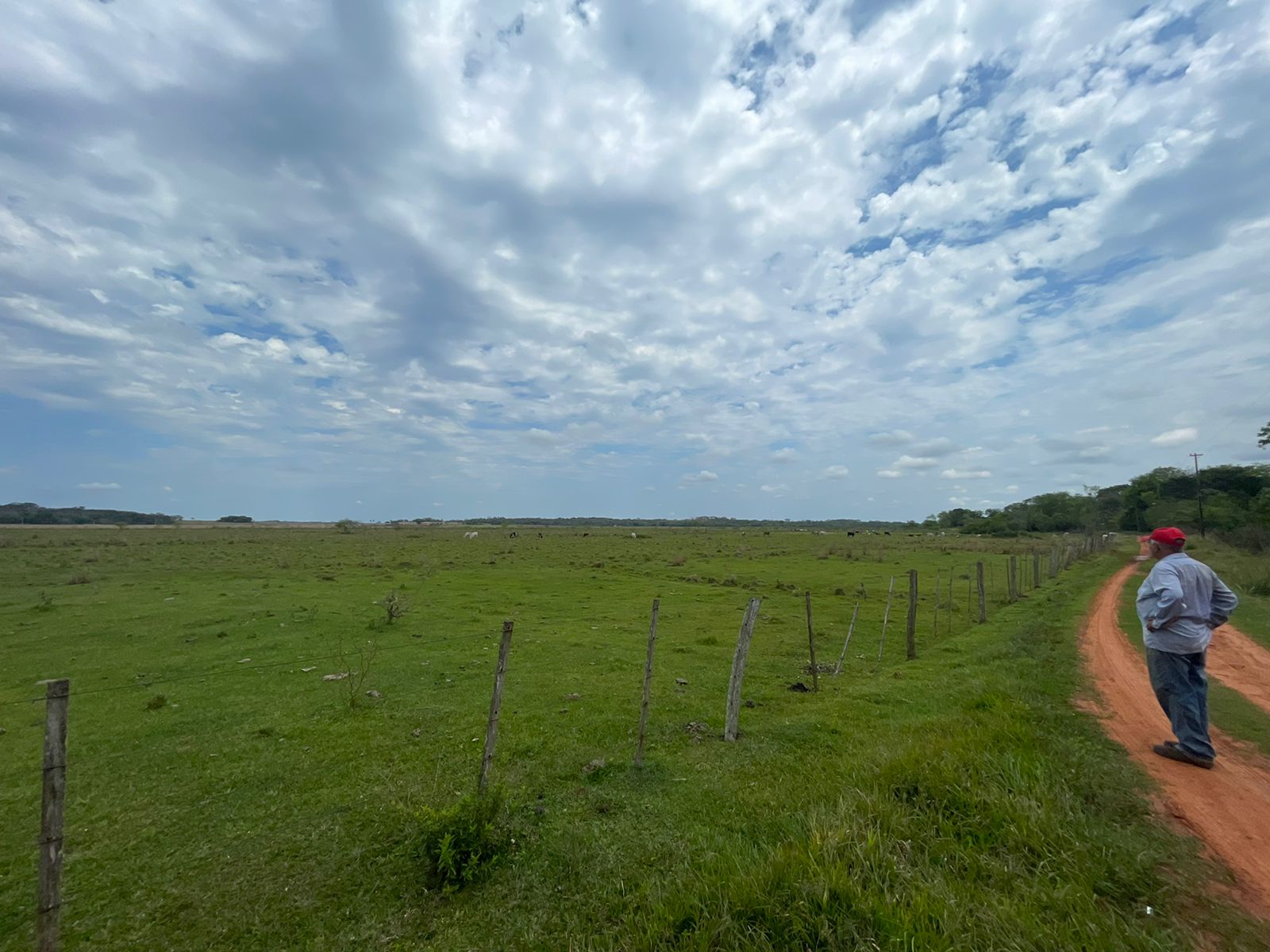 Vendo 16 hectareas en Tobati - Loma Verde — foto 3