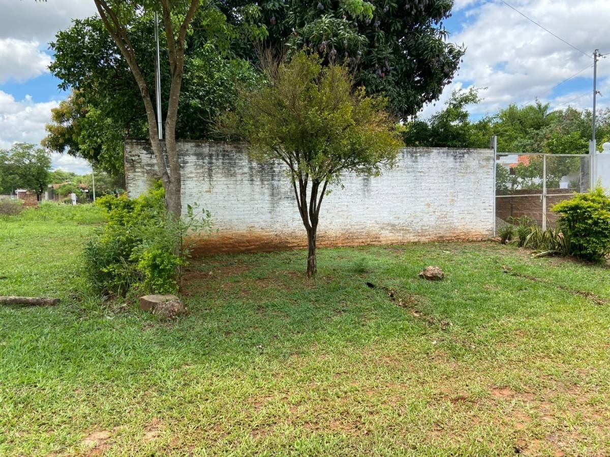 En Venta Terreno En Laurelty, Luque — foto 3