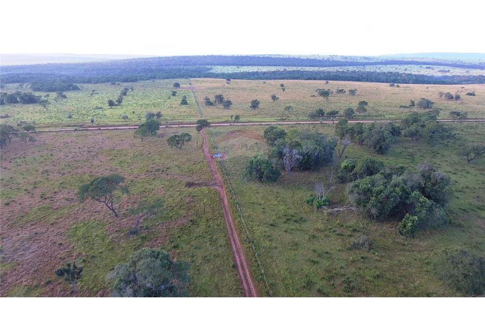 VENDO ESTANCIA EN PEDRO JUAN CABALLERO — foto 2
