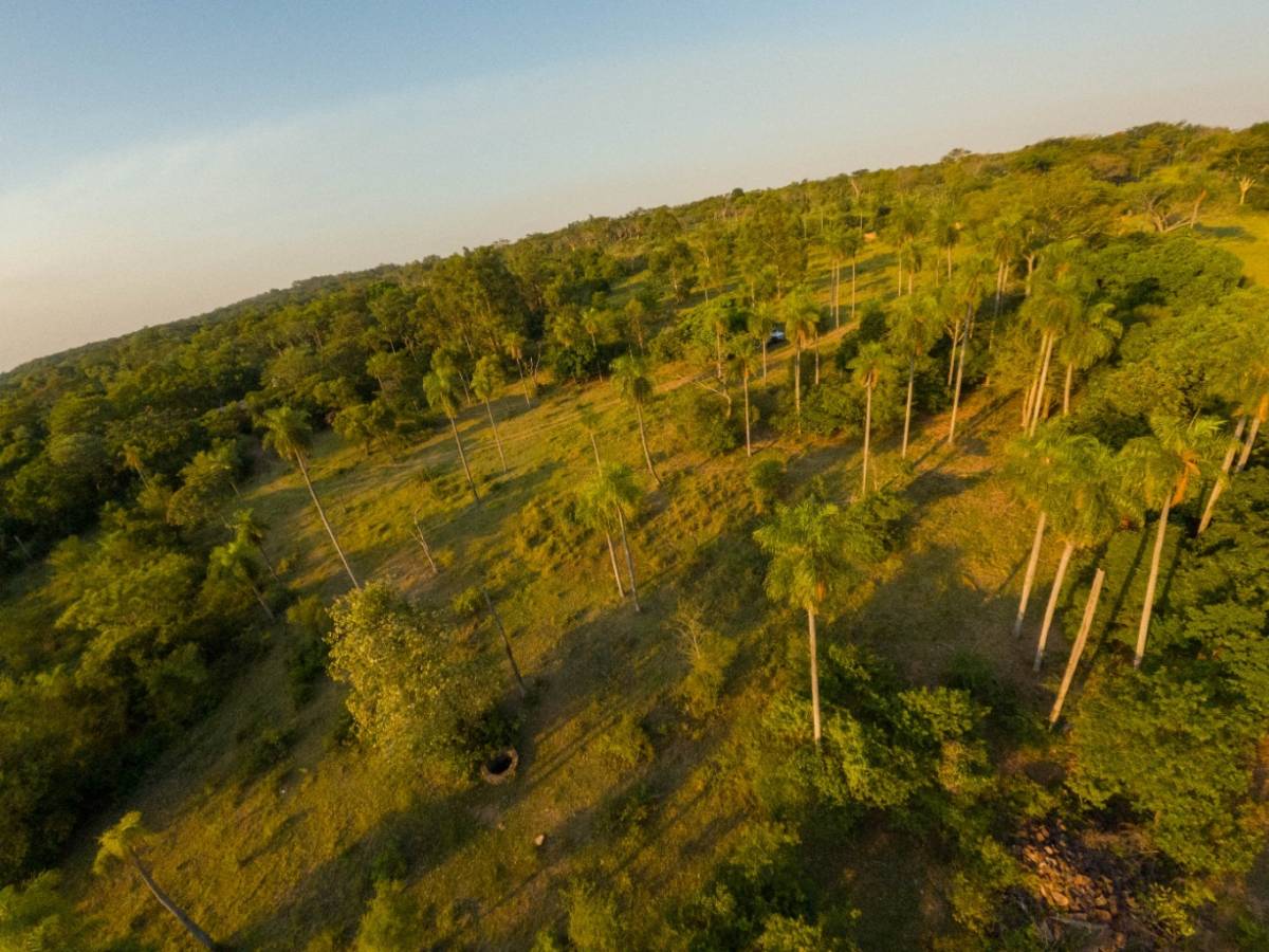 Las Rajas Ciervo Cua - Condominio con Reserva Ecologica vista al lago — foto 3