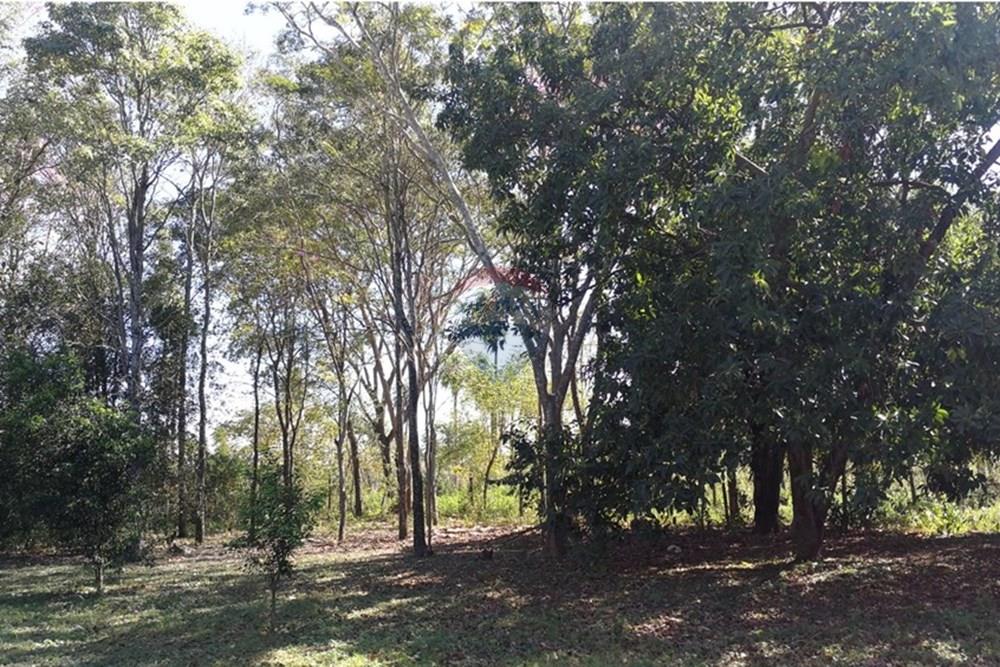 Terreno - Venta - Yaguarón, Paraguay, Vive feliz! — foto 3